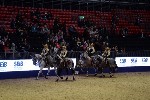 Quadrille - 00652